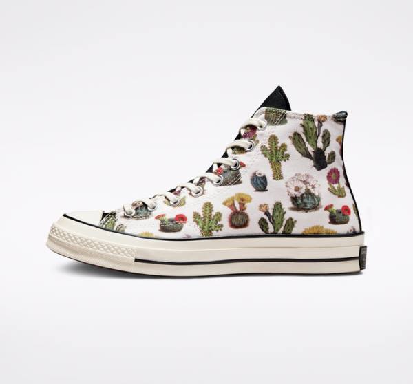 Zapatillas Altas Converse Chuck 70 Succulents Negras | CV-123ASG