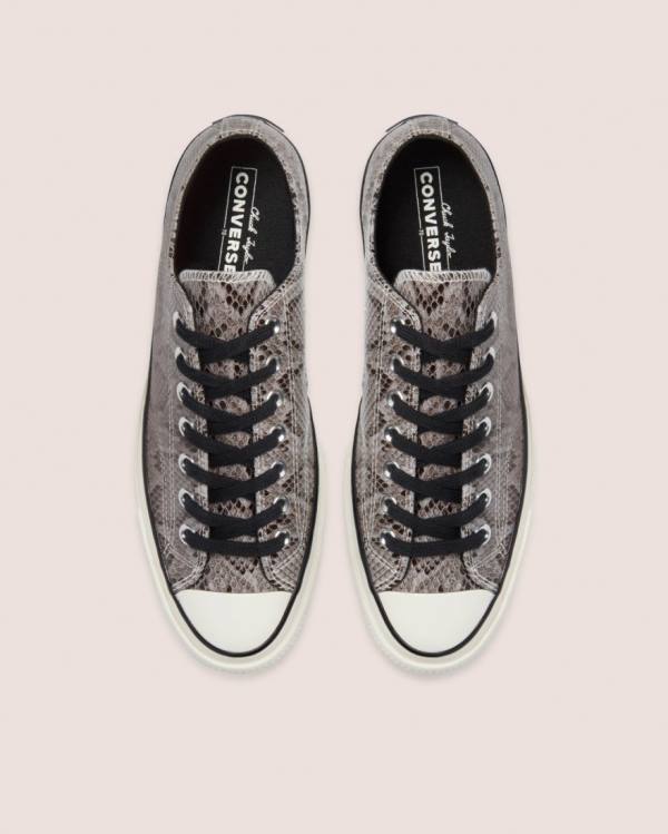 Zapatillas Bajas Converse Chuck 70 Reptile Gamuza Gris | CV-790LPZ