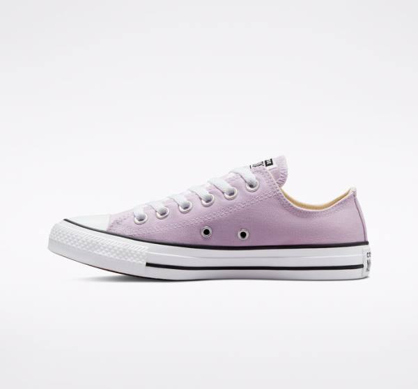 Zapatillas Bajas Converse Chuck Taylor All Star Seasonal Color Lavanda | CV-165OAT