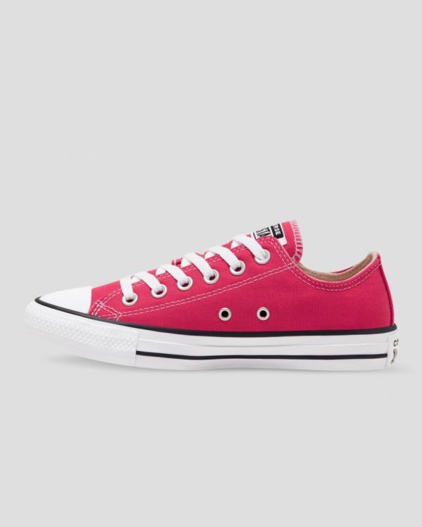 Zapatillas Bajas Converse Chuck Taylor All Star Seasonal Colour Rosas | CV-328FUQ