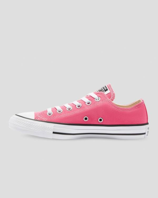 Zapatillas Bajas Converse Chuck Taylor All Star Seasonal Colour Rosas | CV-540RFI